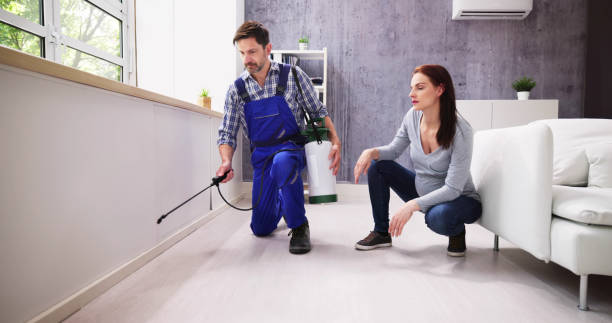 Best Real Estate Pest Inspections  in Port Hueneme, CA